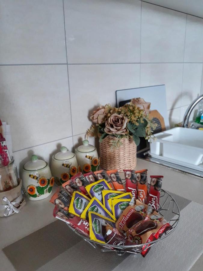 Dionis Διαμέρισμα Veliko Gradište Εξωτερικό φωτογραφία